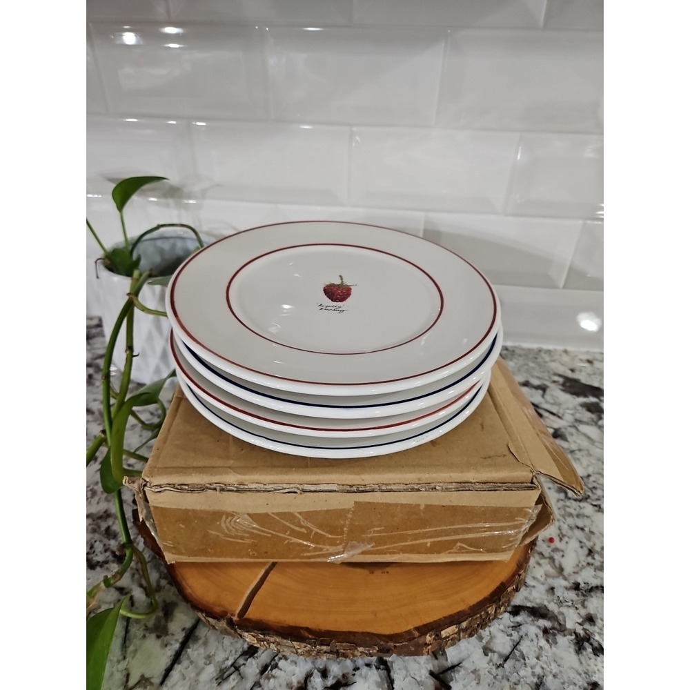 OVER AND BACK SALAD PLATES INDOOR OUTFITTERS 8 1/4" SET OF 4